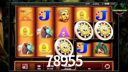 Descubra o Mundo do Cassino Online com 78955